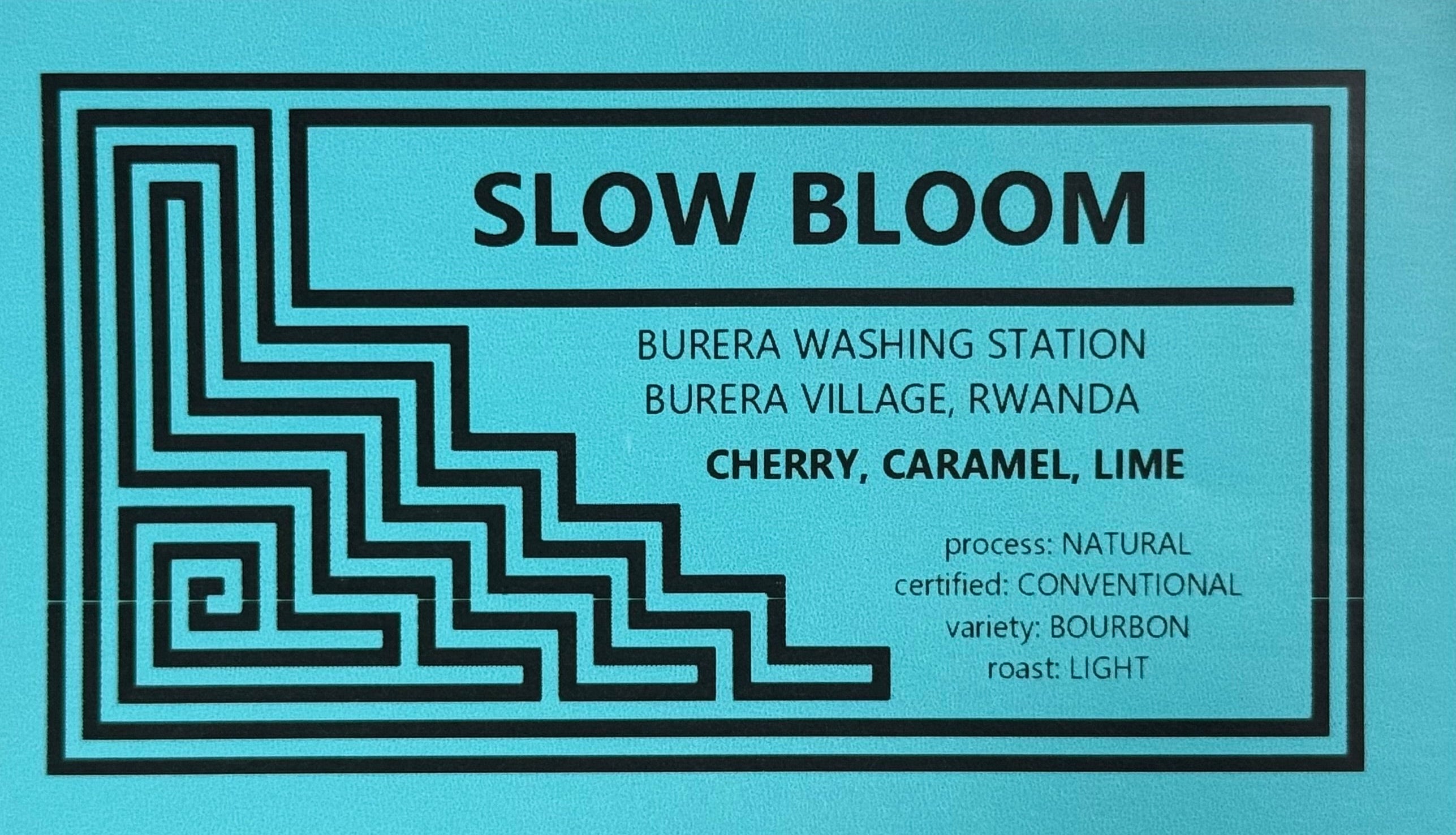 Slow Bloom, Rwanda